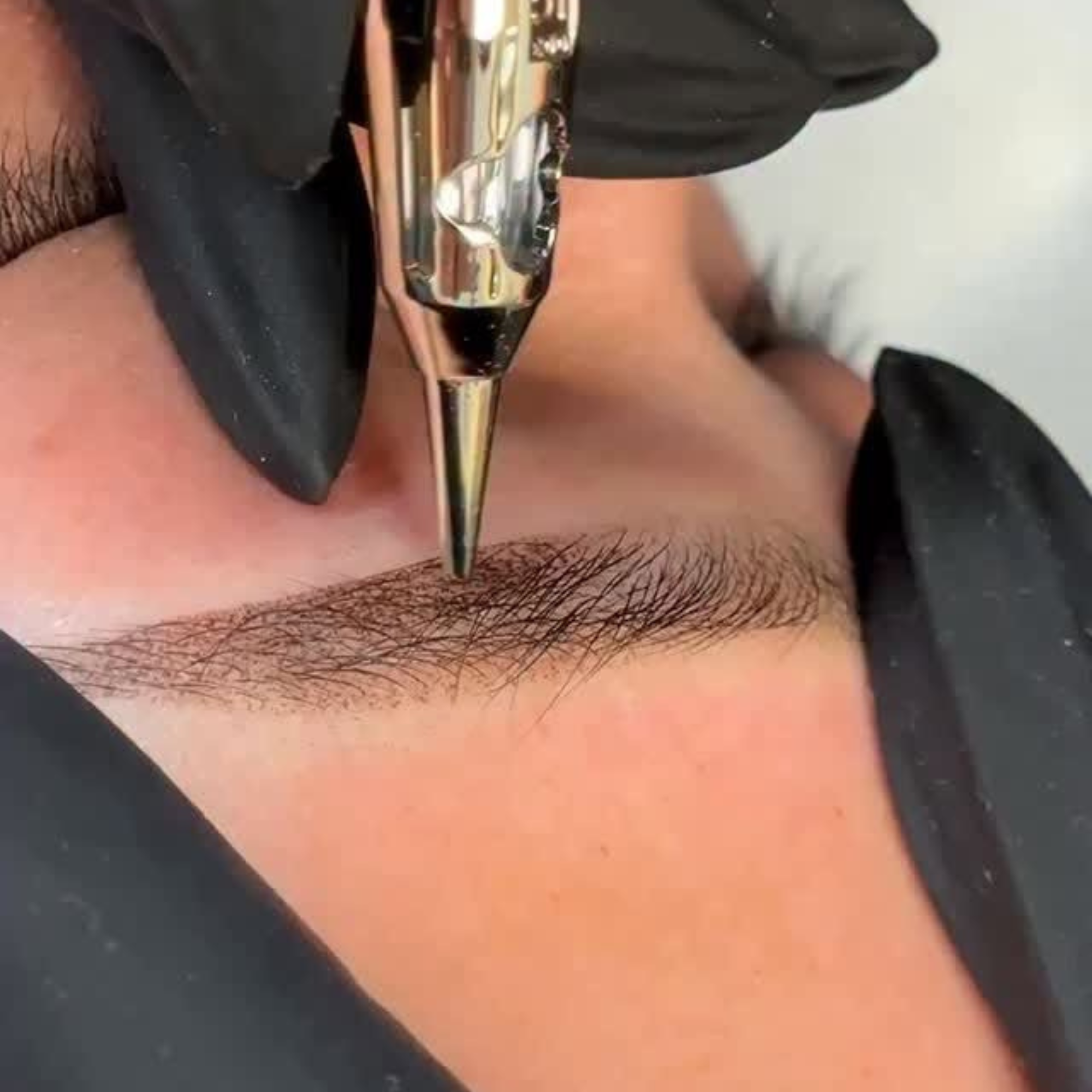 OMBRE POWDER TRAINING